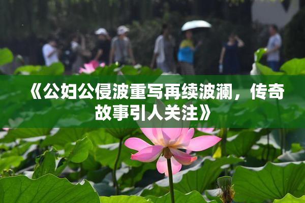 《公妇公侵波重写再续波澜，传奇故事引人关注》