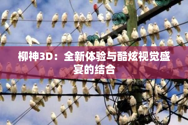 柳神3D：全新体验与酷炫视觉盛宴的结合