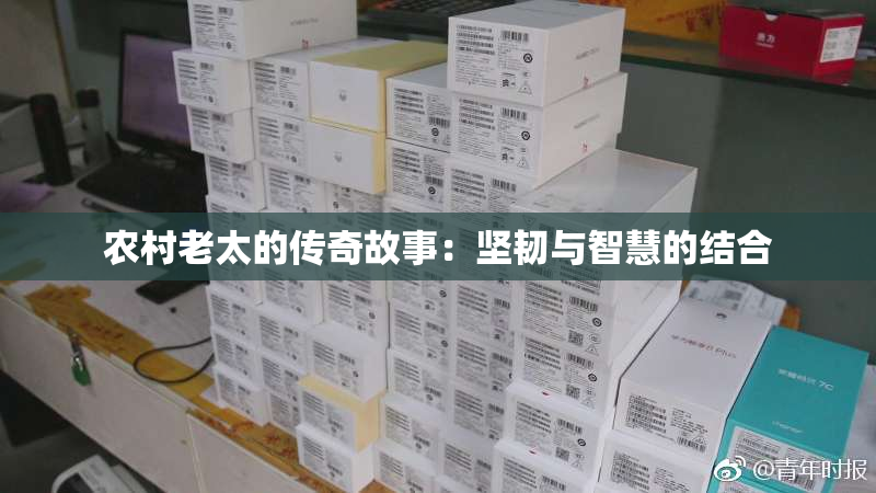 农村老太的传奇故事：坚韧与智慧的结合