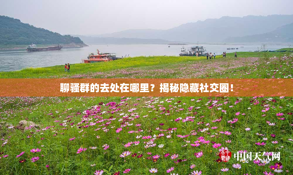 聊骚群的去处在哪里？揭秘隐藏社交圈！