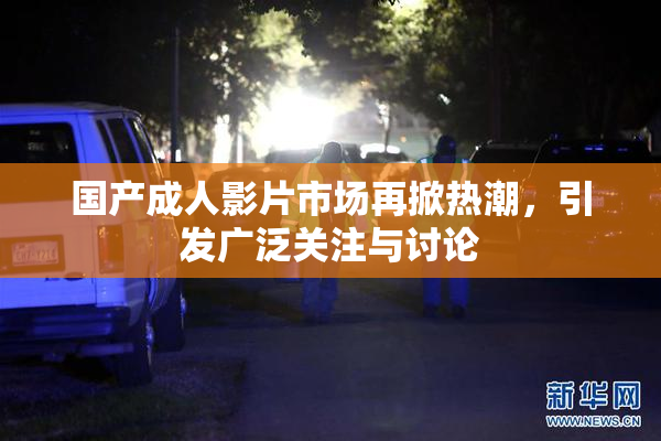 国产成人影片市场再掀热潮，引发广泛关注与讨论