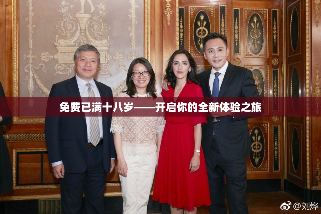 免费已满十八岁——开启你的全新体验之旅