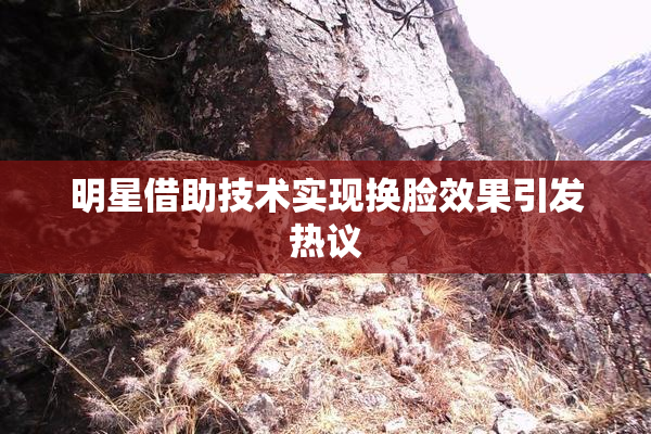 明星借助技术实现换脸效果引发热议