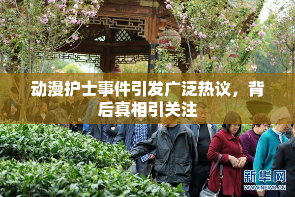 动漫护士事件引发广泛热议，背后真相引关注