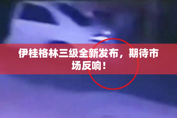 伊桂格林三级全新发布，期待市场反响！