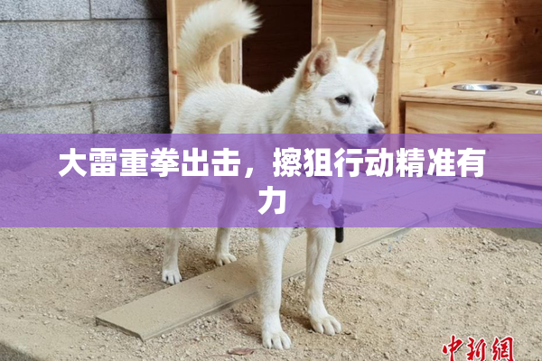 大雷重拳出击，擦狙行动精准有力
