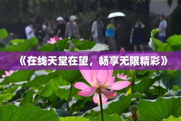 《在线天堂在望，畅享无限精彩》