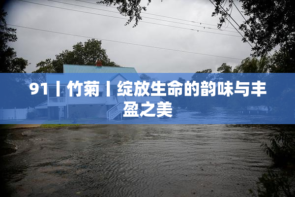 91丨竹菊丨绽放生命的韵味与丰盈之美