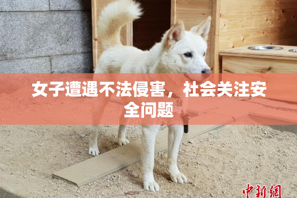 女子遭遇不法侵害，社会关注安全问题