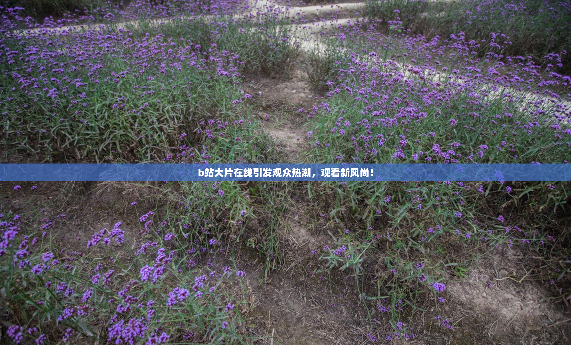 b站大片在线引发观众热潮，观看新风尚！