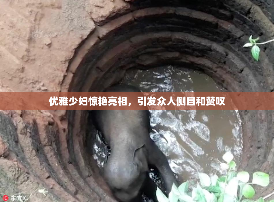 优雅少妇惊艳亮相，引发众人侧目和赞叹