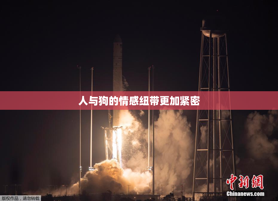 人与狗的情感纽带更加紧密