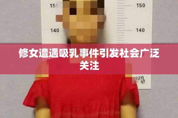 修女遭遇吸乳事件引发社会广泛关注