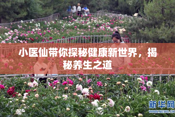 小医仙带你探秘健康新世界，揭秘养生之道