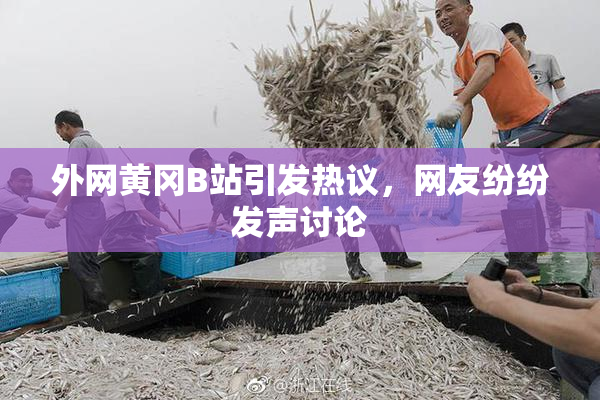外网黄冈B站引发热议，网友纷纷发声讨论