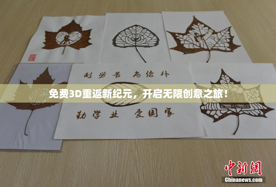 免费3D重返新纪元，开启无限创意之旅！