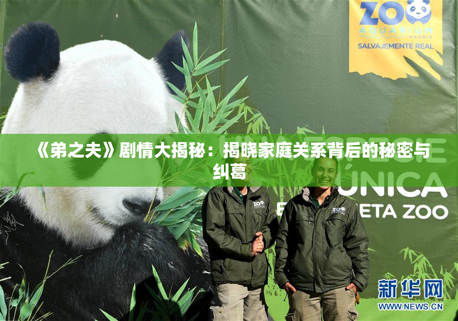 《弟之夫》剧情大揭秘：揭晓家庭关系背后的秘密与纠葛