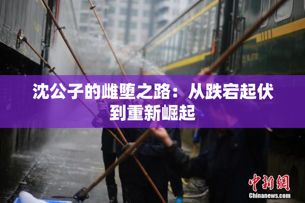 沈公子的雌堕之路：从跌宕起伏到重新崛起