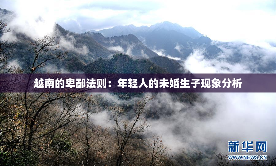 越南的卑鄙法则：年轻人的未婚生子现象分析