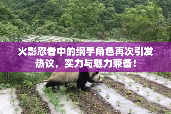 火影忍者中的纲手角色再次引发热议，实力与魅力兼备！