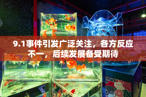 9.1事件引发广泛关注，各方反应不一，后续发展备受期待