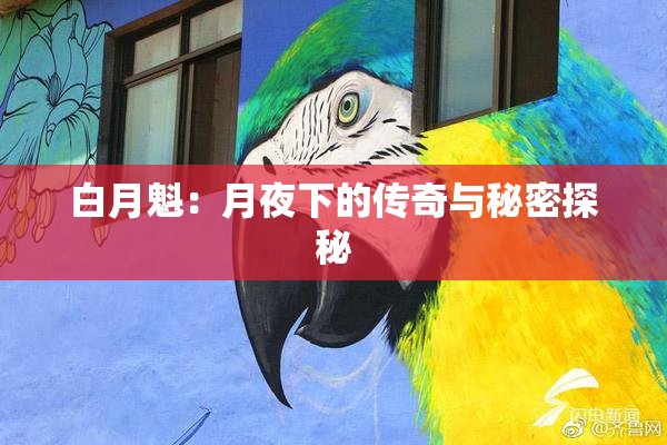 白月魁：月夜下的传奇与秘密探秘