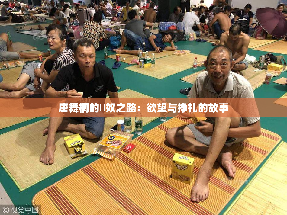 唐舞桐的婬奴之路：欲望与挣扎的故事