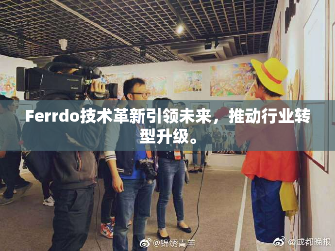 Ferrdo技术革新引领未来，推动行业转型升级。