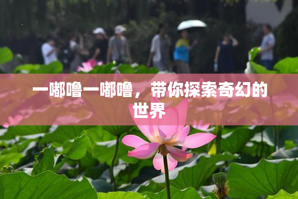 一嘟噜一嘟噜，带你探索奇幻的世界