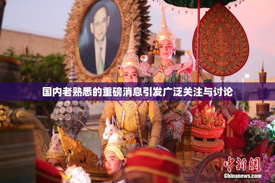 国内老熟悉的重磅消息引发广泛关注与讨论