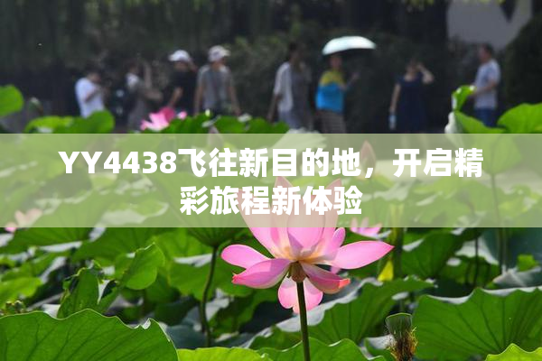 YY4438飞往新目的地，开启精彩旅程新体验