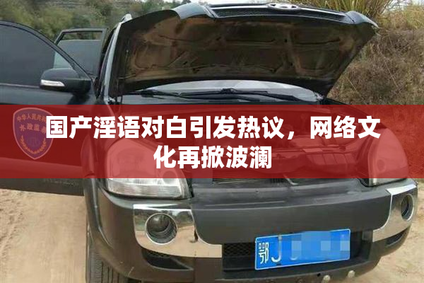 国产淫语对白引发热议，网络文化再掀波澜