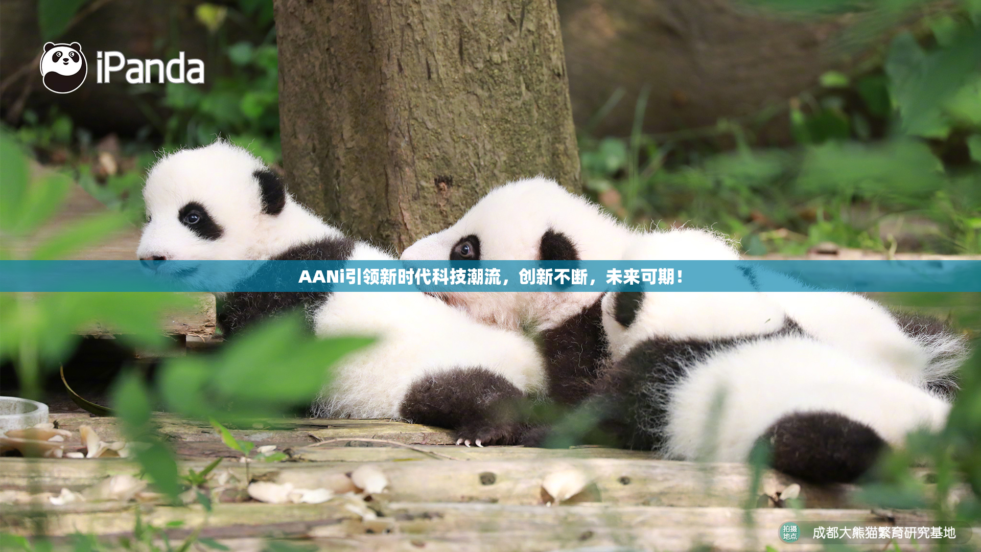 AANi引领新时代科技潮流，创新不断，未来可期！