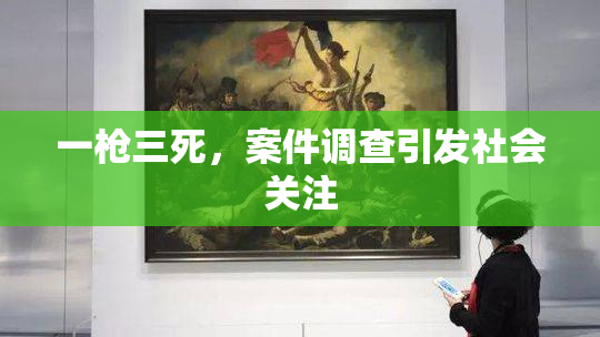 一枪三死，案件调查引发社会关注