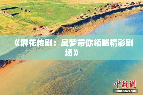 《麻花传剧：吴梦带你领略精彩剧场》