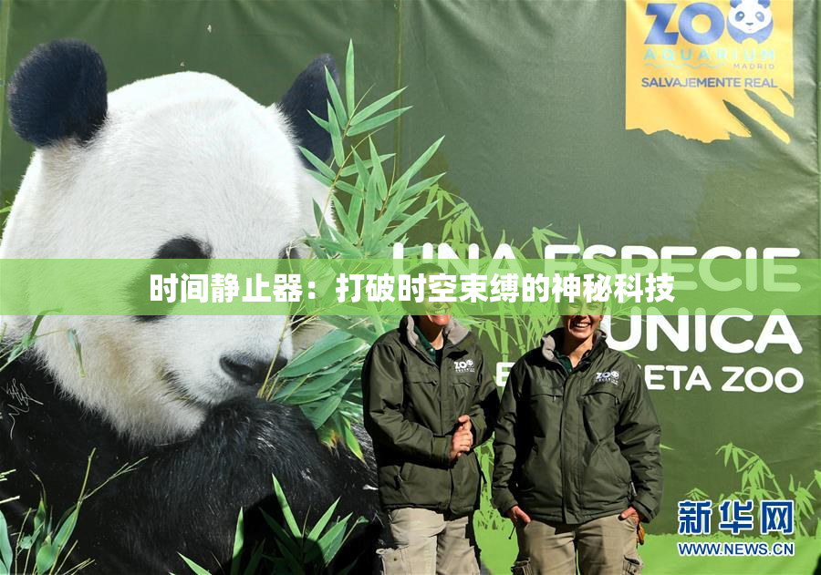 时间静止器：打破时空束缚的神秘科技