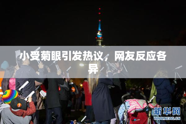 小受菊眼引发热议，网友反应各异