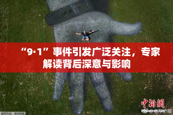 “9·1”事件引发广泛关注，专家解读背后深意与影响