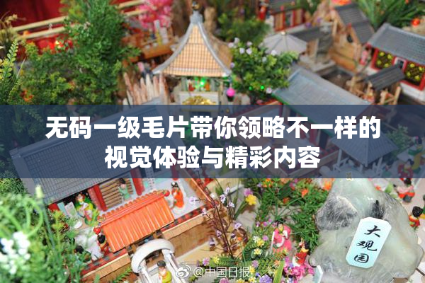 无码一级毛片带你领略不一样的视觉体验与精彩内容