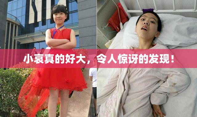 小哀真的好大，令人惊讶的发现！