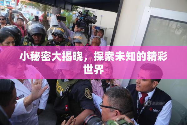小秘密大揭晓，探索未知的精彩世界