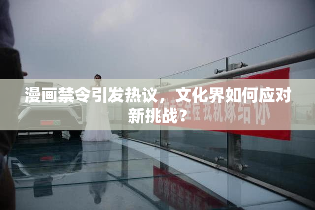 漫画禁令引发热议，文化界如何应对新挑战？