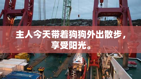 主人今天带着狗狗外出散步，享受阳光。
