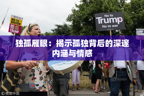 独孤雁眼：揭示孤独背后的深邃内涵与情感