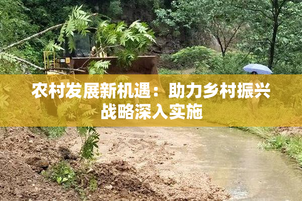 农村发展新机遇：助力乡村振兴战略深入实施