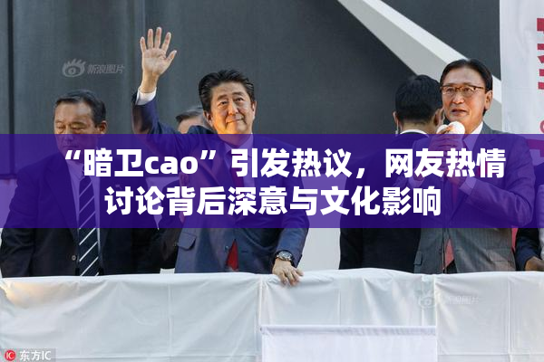 “暗卫cao”引发热议，网友热情讨论背后深意与文化影响