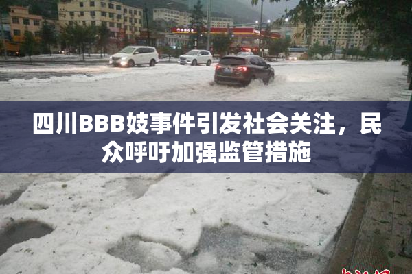 四川BBB妓事件引发社会关注，民众呼吁加强监管措施