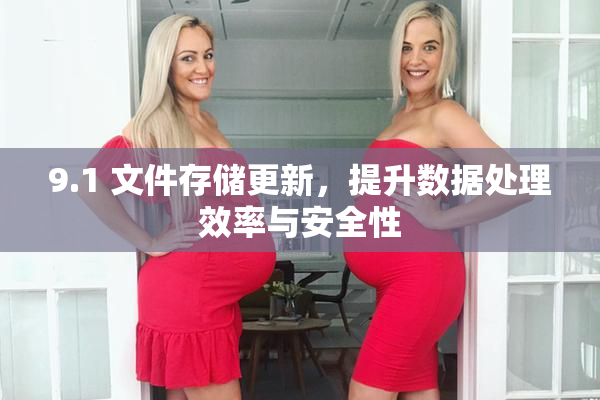 9.1 文件存储更新，提升数据处理效率与安全性