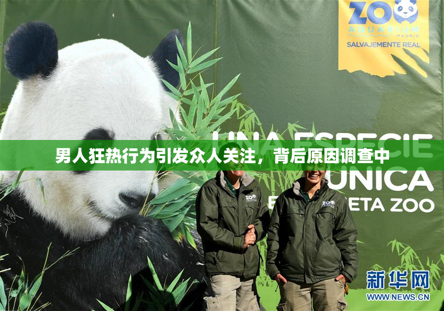 男人狂热行为引发众人关注，背后原因调查中