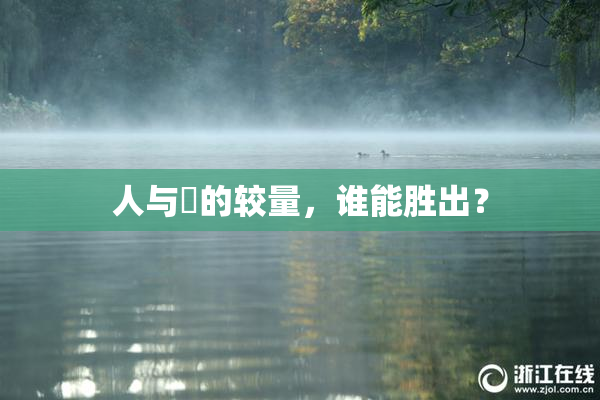 人与嘼的较量，谁能胜出？